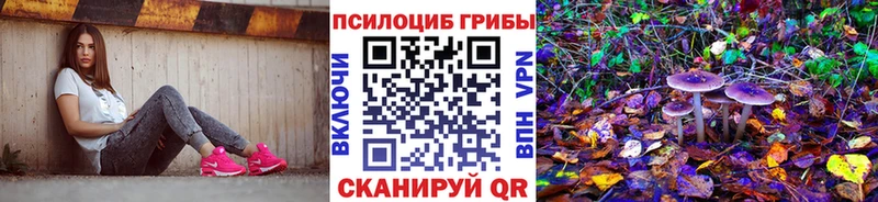 где продают   omg вход  Псилоцибиновые грибы ЛСД  Вяземский 